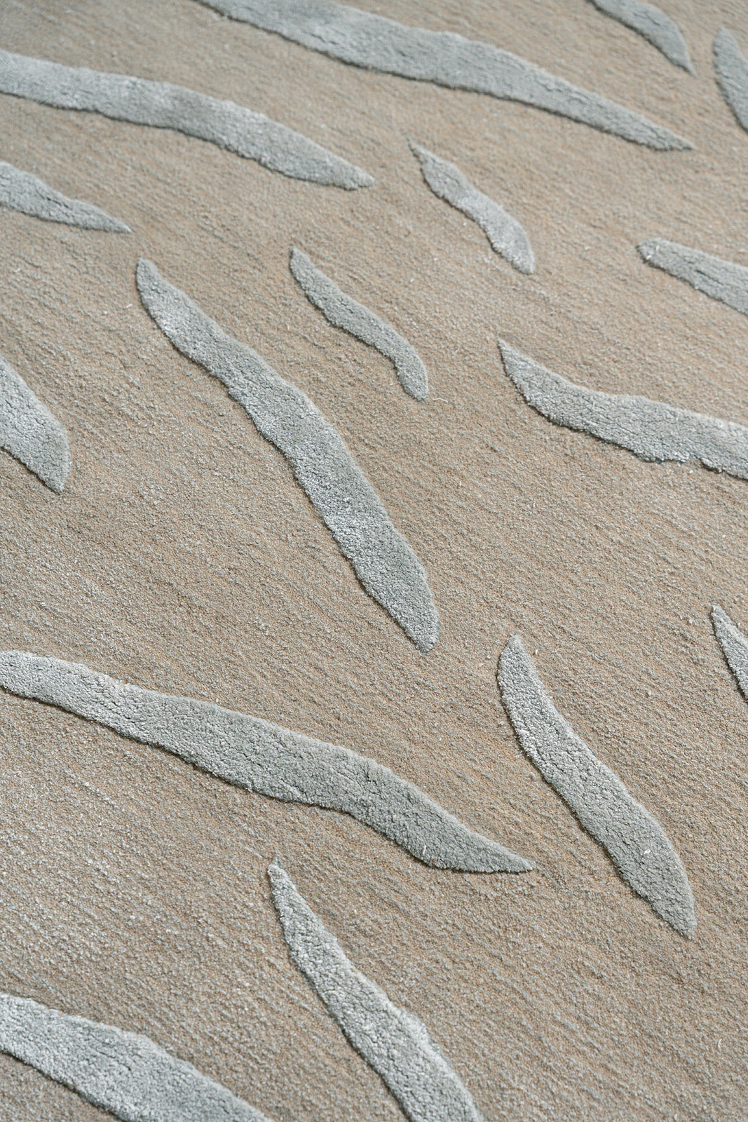 Roll No. 34