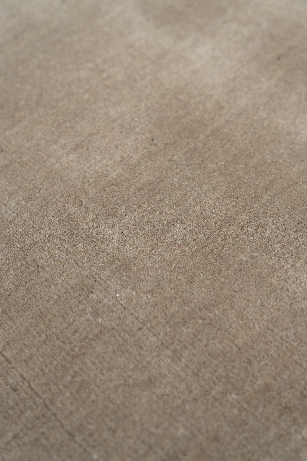 Beige Wool