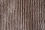 Flam 0028
