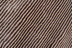 Flam 0028