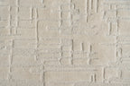 Tx-11651