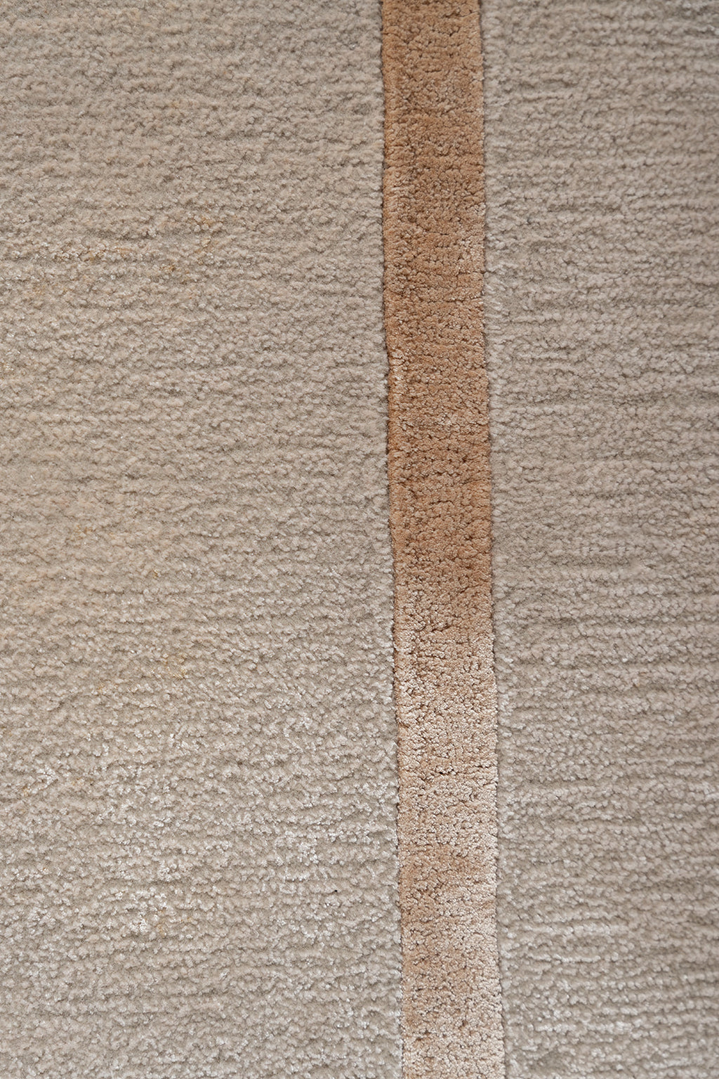 Camel Border