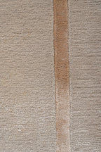 Camel Border