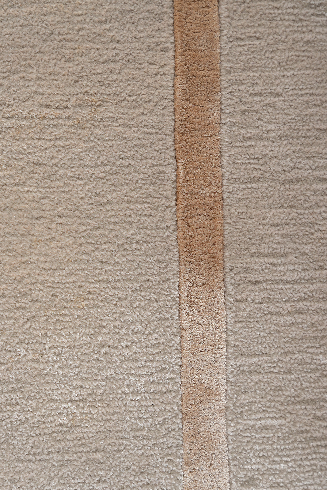 Camel Border