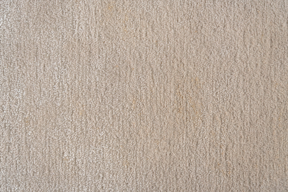 Camel Border