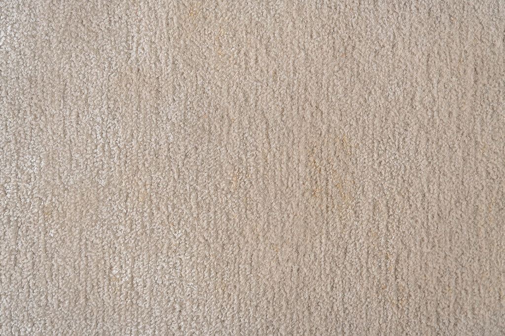 Camel Border