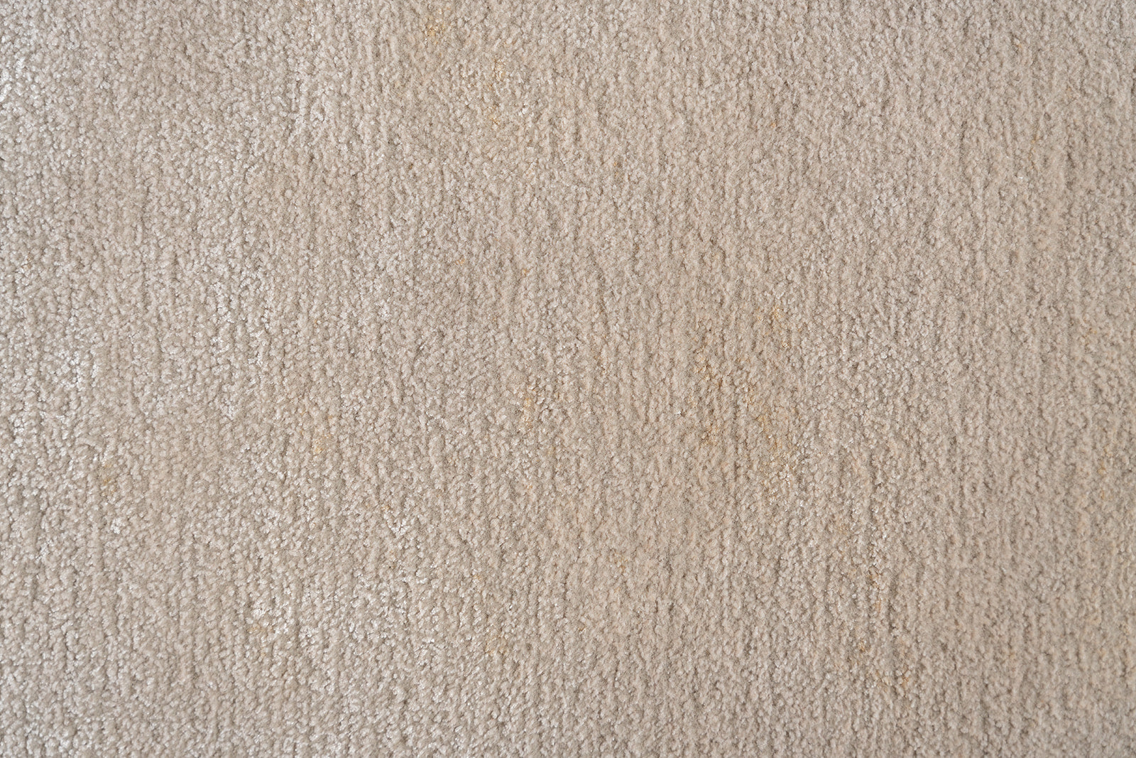 Camel Border