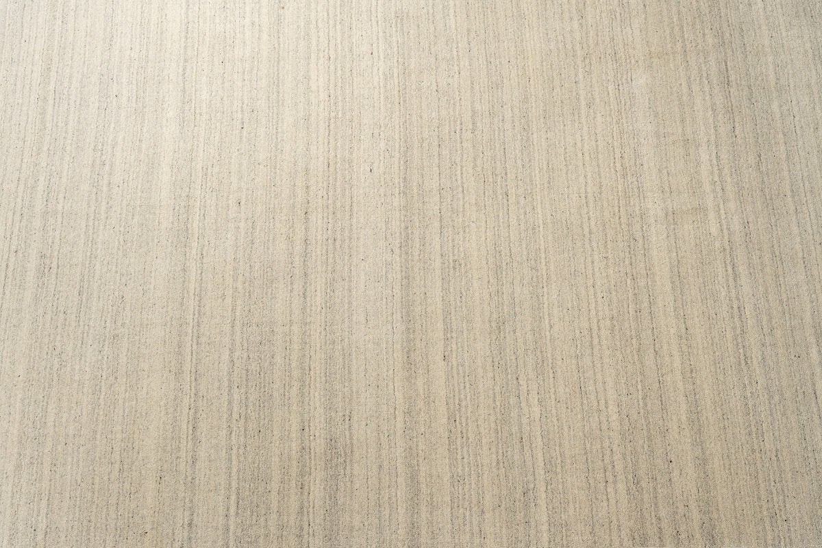 Camel Lines C1