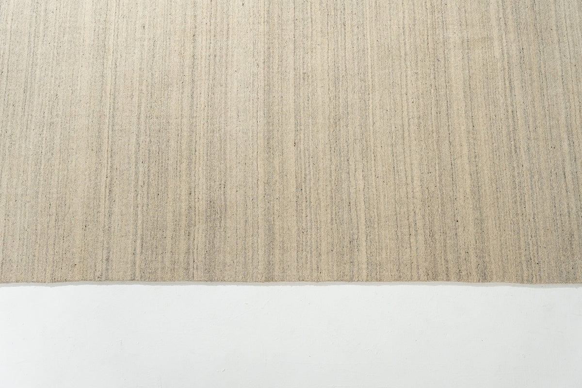 Camel Lines C1