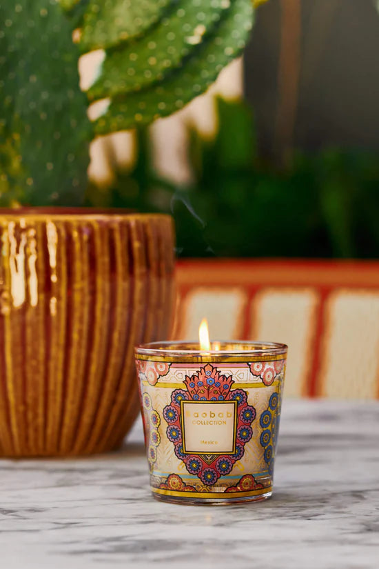 Candle My First Baobab México 192 G