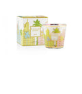 Candle My First Baobab Miami 193 G