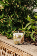 Candle My First Baobab Miami 193 G