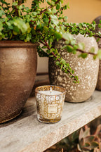 Candle My First Baobab Aurum 194 G