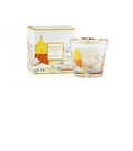 Candle My First Baobab Á Saint-tropez 196 G