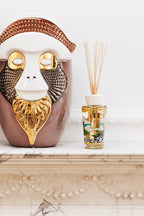 Diffuser My First Baobab Río 250 Ml