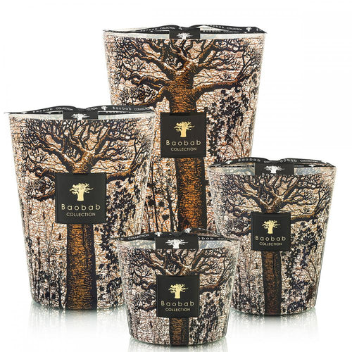 Max 10 Fraganced Candle Scared Trees Morondo 500 G