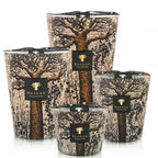 Max 10 Fraganced Candle Scared Trees Morondo 500 G