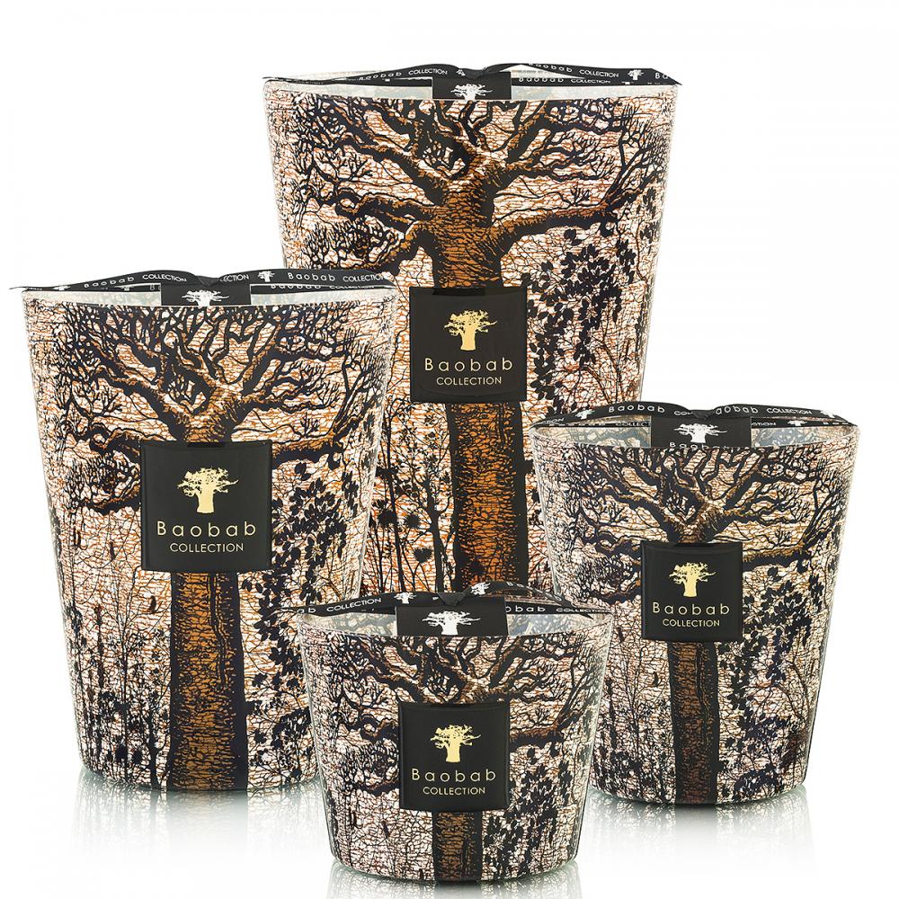 Max 10 Fraganced Candle Scared Trees Morondo 500 G