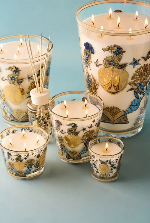 Max 16 Fraganced Candle Tomorrowland 1.1 Kg