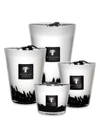 Max 16 Candle Feathers