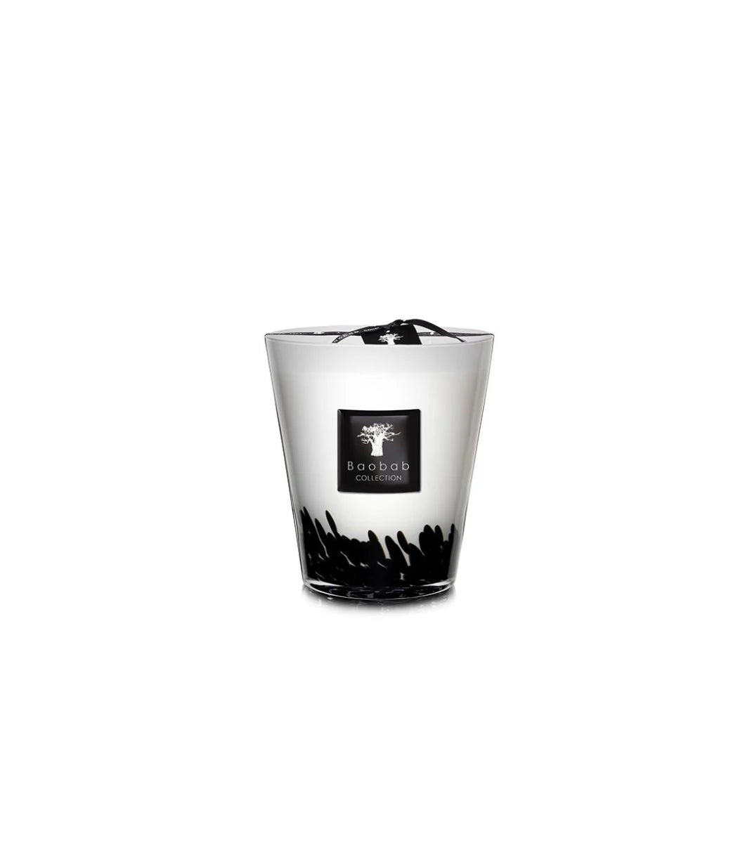 Max 16 Candle Feathers