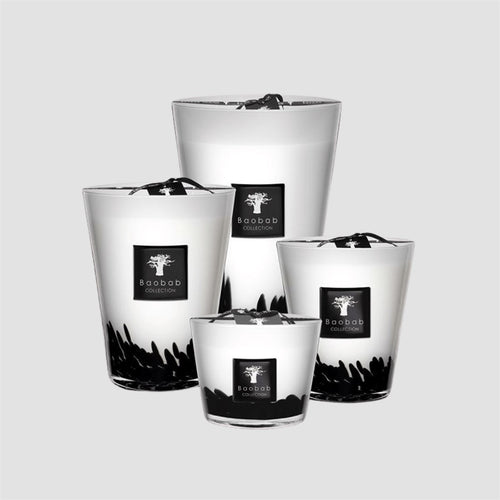 Max 24 Candle Feathers