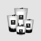 Max 24 Candle Feathers