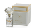 Apothecary Guild Botanical Oasis Porcelain Diffuser Dragonfly Fig Vertiver 100 Ml