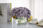 Hydrangeas Blue - Clear White Hydrangea 2x10 ml