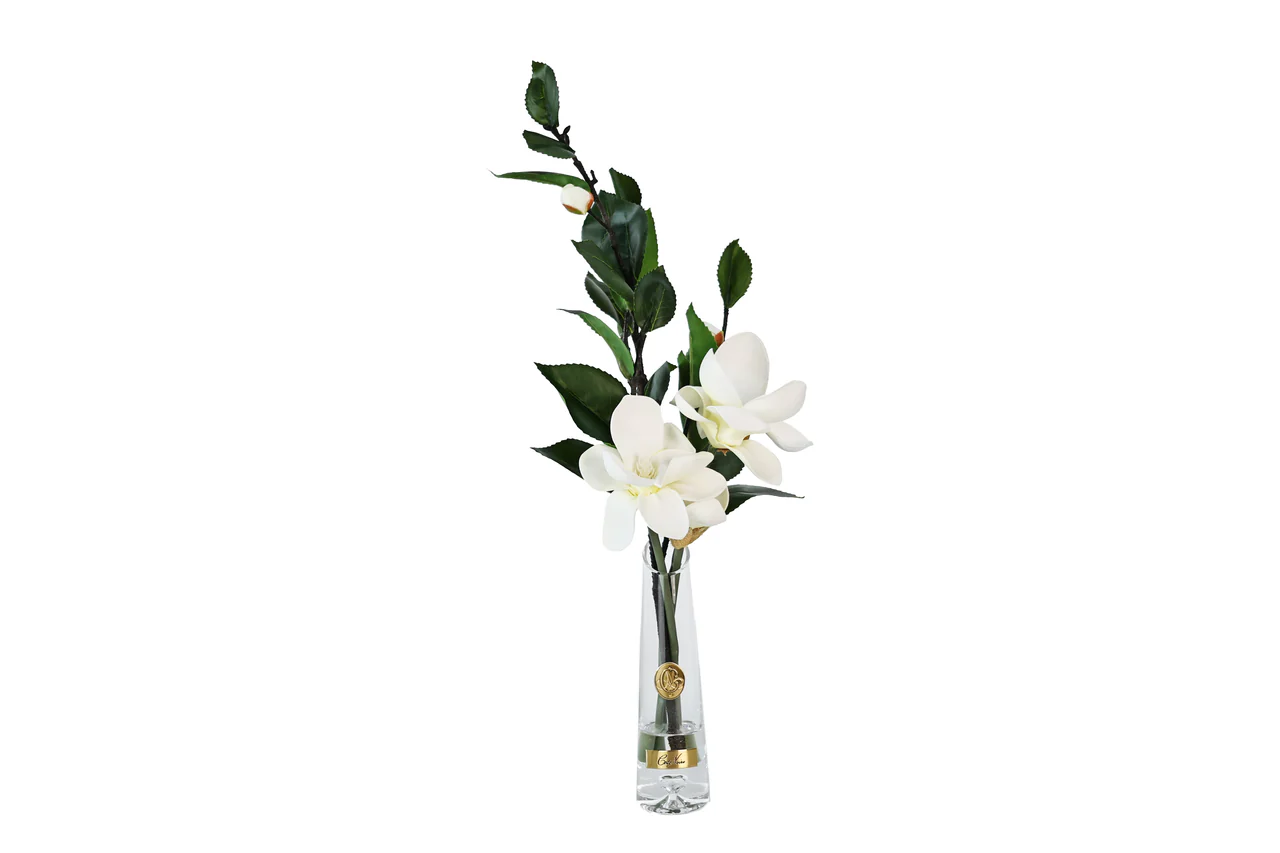 Summer Magnolias - White - Gold