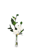 Summer Magnolias - White - Silver