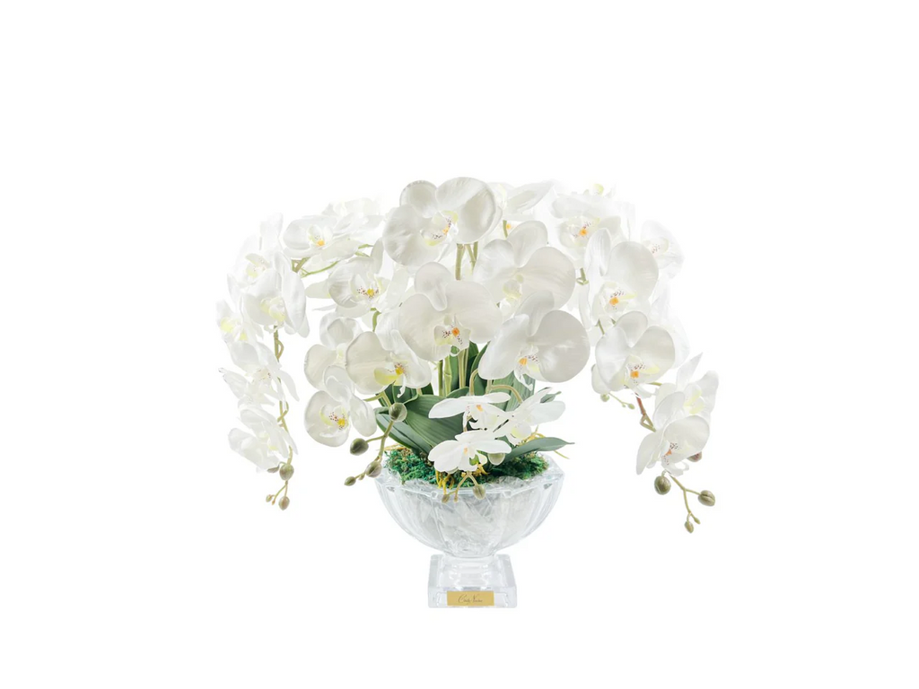 Centrepiece Orchids - White