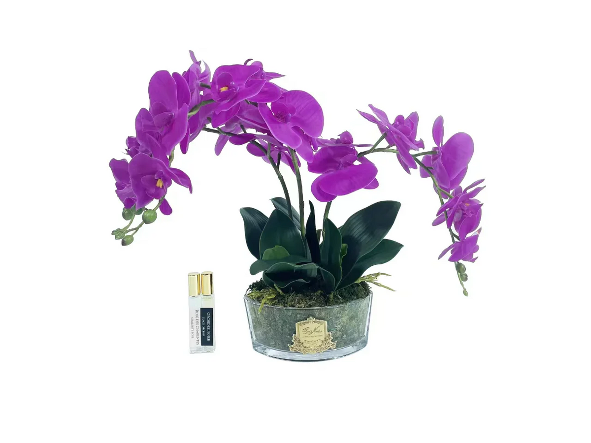 Oval Orchid - Fuschia