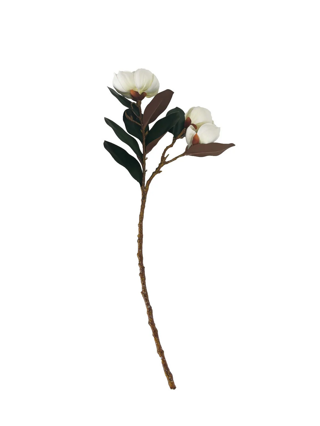 Loose - Magnolias - White