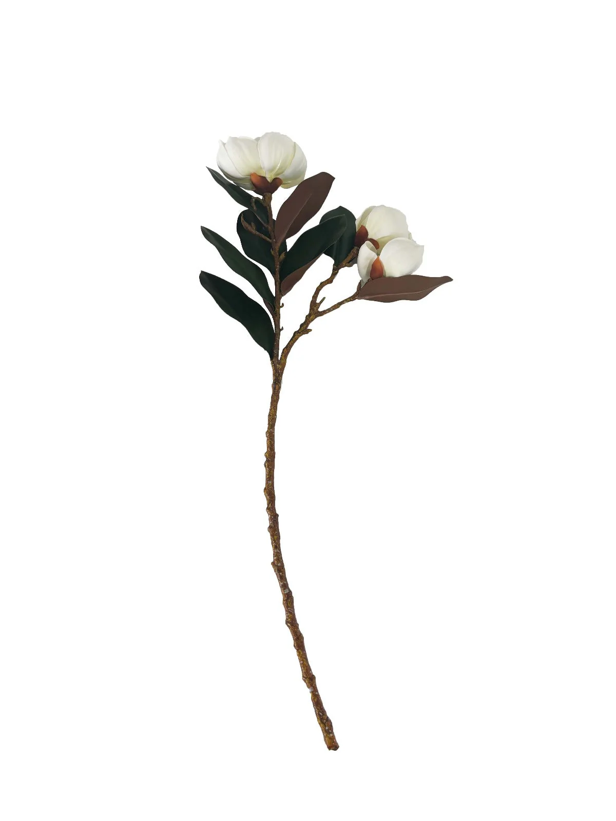 Loose  -  Magnolias -  White