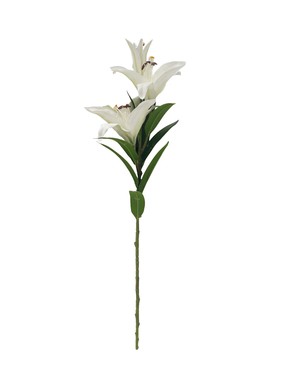 Loose - Lilies - White