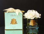 Five Rose Ivory - Clear Glass With Gold