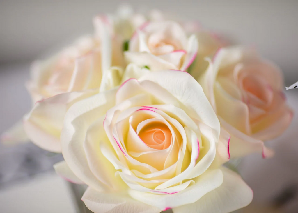 Five Rose Ivory - Black Glass With Gold Rose Petal & Charente Rose 2x5 Ml