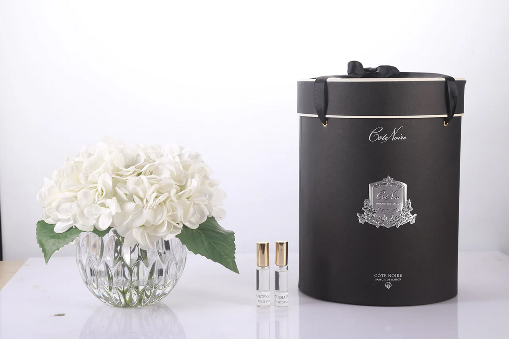 Hydraneas White - Clear