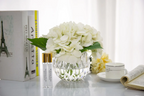 Hydraneas White - Clear