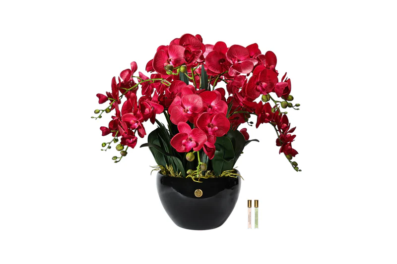 Luxury Glant Orchid Red
