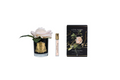 French Rose Champagne Pink - Black Glass With Gold Badge