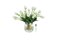 Heritage Tulips - White