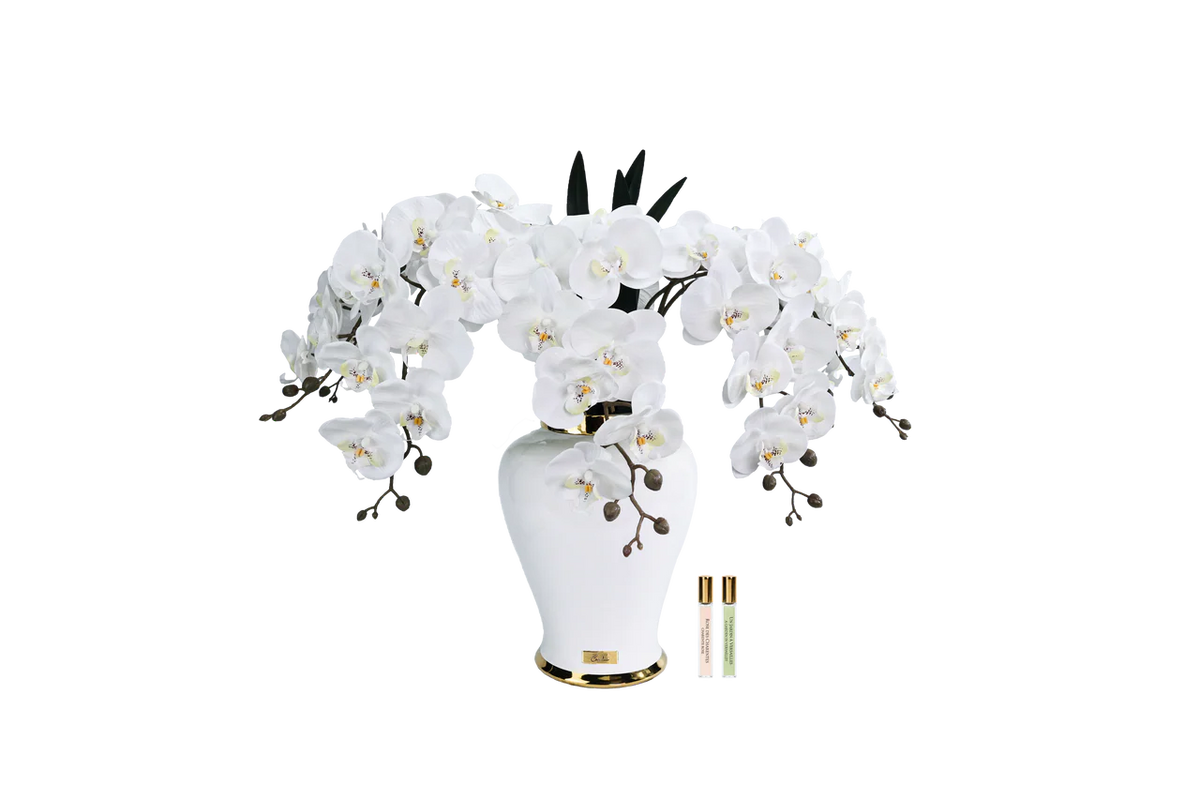 Imperial Orchid - White