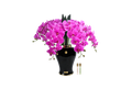 Imperial Orchid - Fuschia
