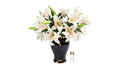 Imperial Lilies - Blush