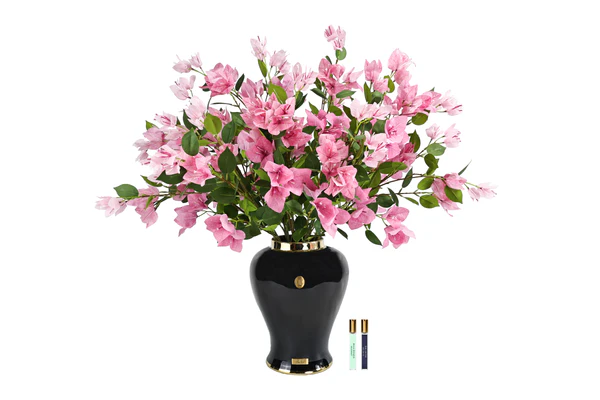 Imperial Boungainvillea - Pink