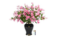 Imperial Boungainvillea - Pink