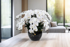 Luxury Giant Orchid White
