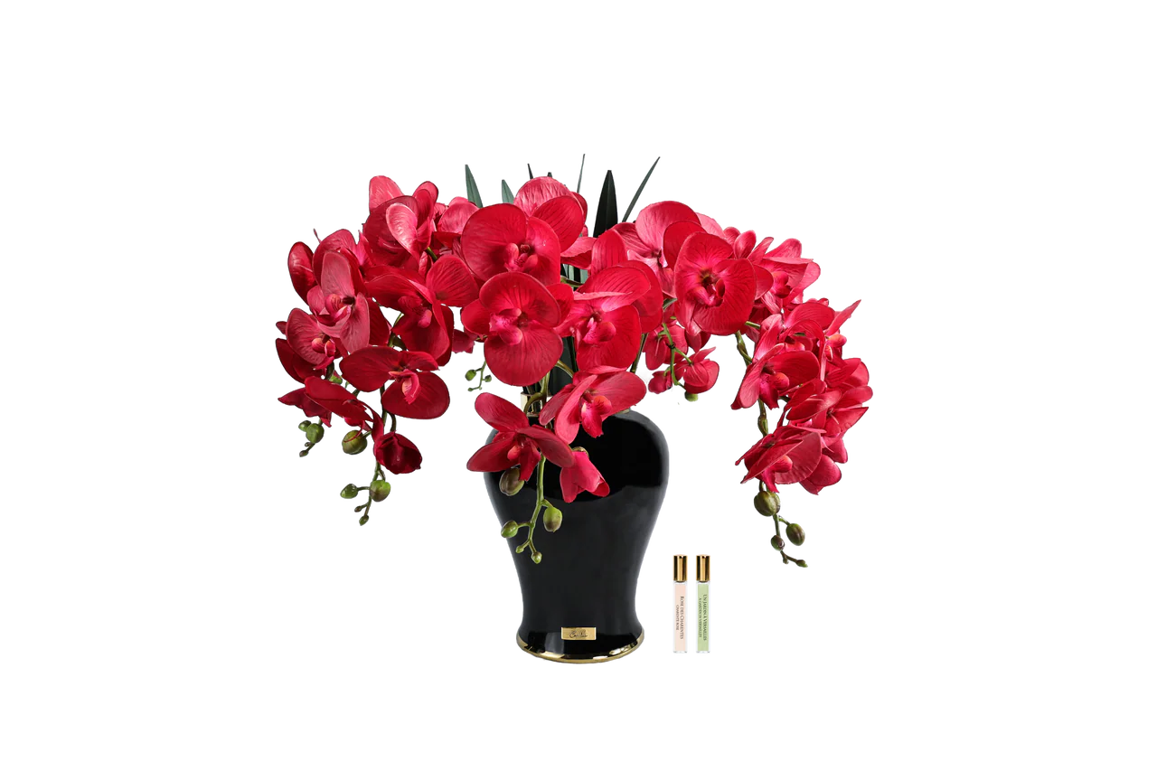 Imperial Orchid-scarlet